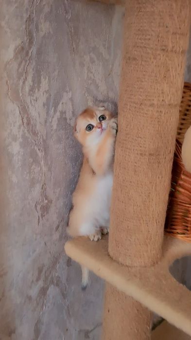 Оочень красивая и ласковая