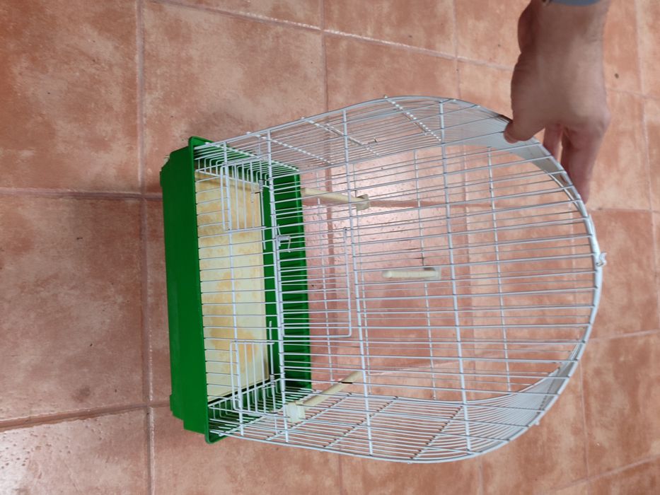 Gaiola para Pássaros