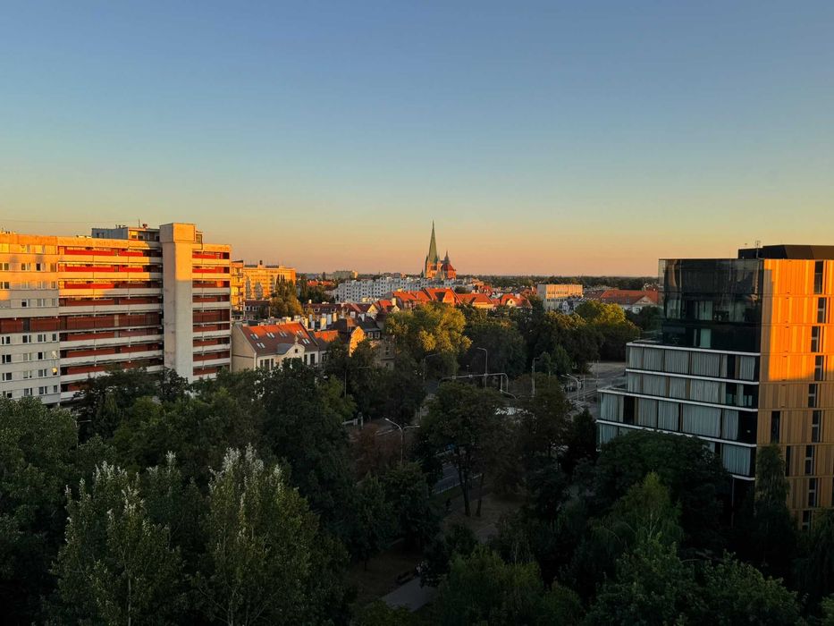 Zdjęcie 8