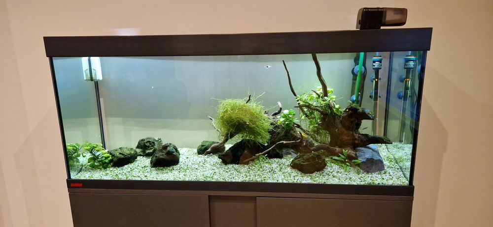 Aquário plantado 240L EHEIM água quente com todos os acessórios
