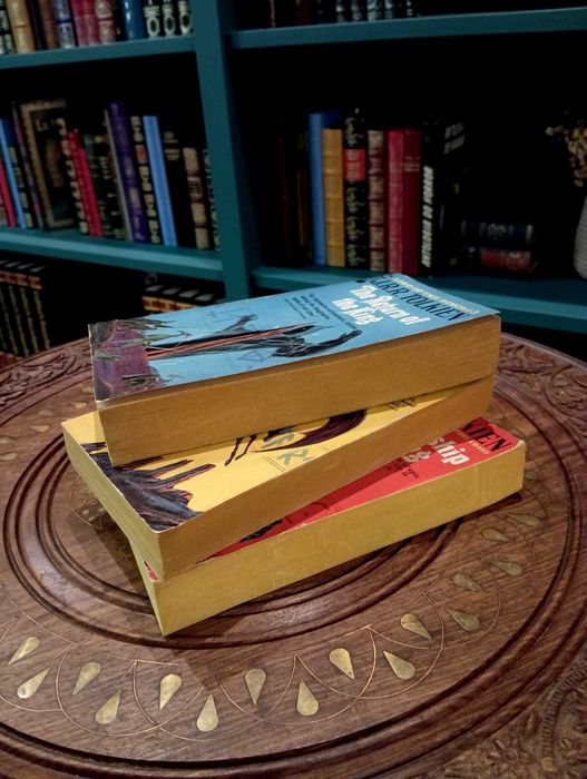 The Lord of the Rings (Pirate Edition) - J. R. R. Tolkien