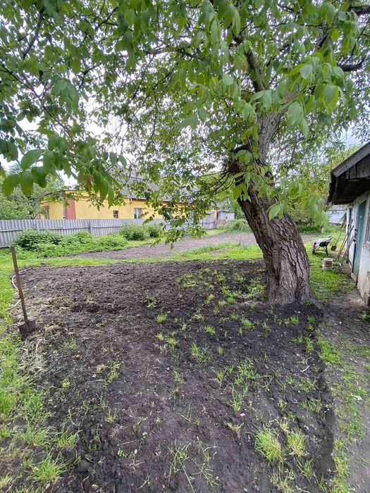 Продам будинок по вул.Толстого.Бориспіль
