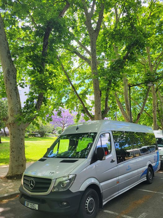 Minibus Mercedes Sprinter 316 CDI