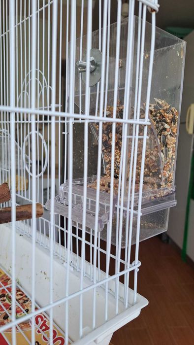 Gaiola média branca