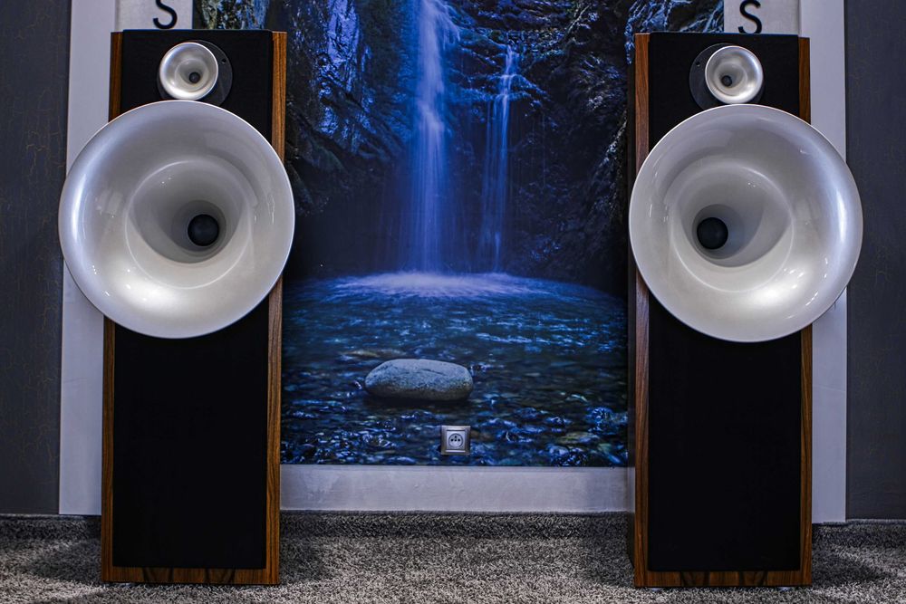 Avantgarde Acoustic Pico