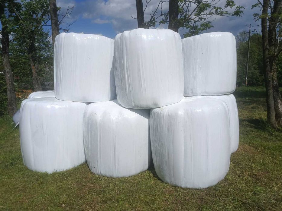 Świeże Bale bele baloty sianokiszonka