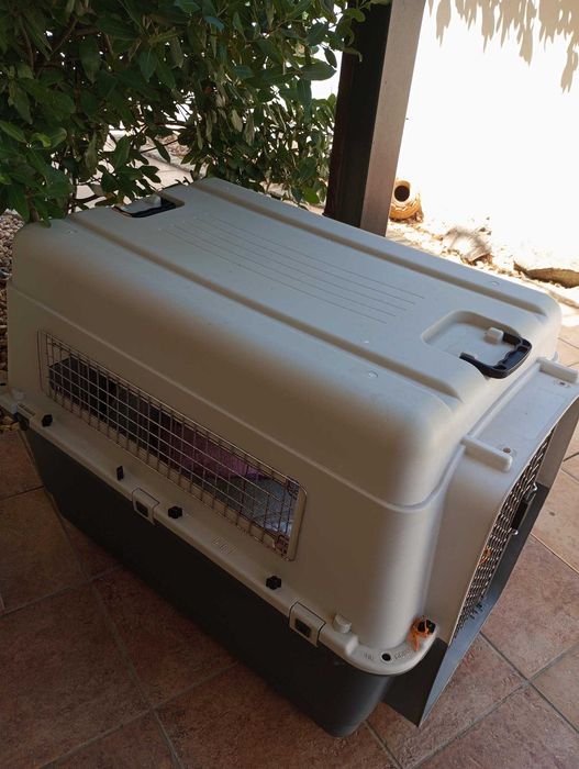 Transportadora para cães