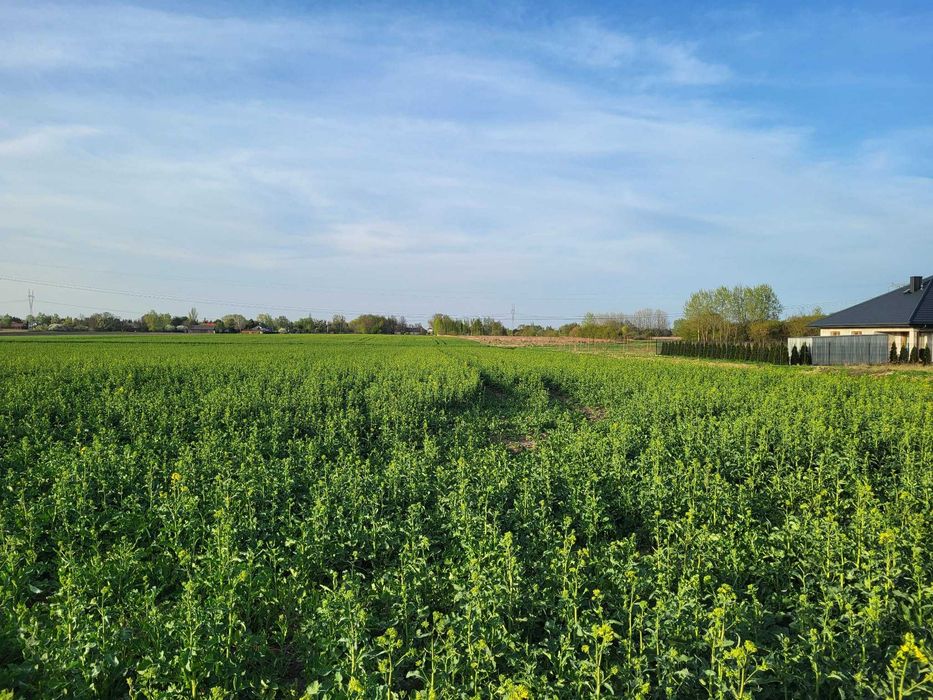 BEZPOŚREDNIO Działki budowlane Kampinos od 1043 do 1211 m² | - Widok 4