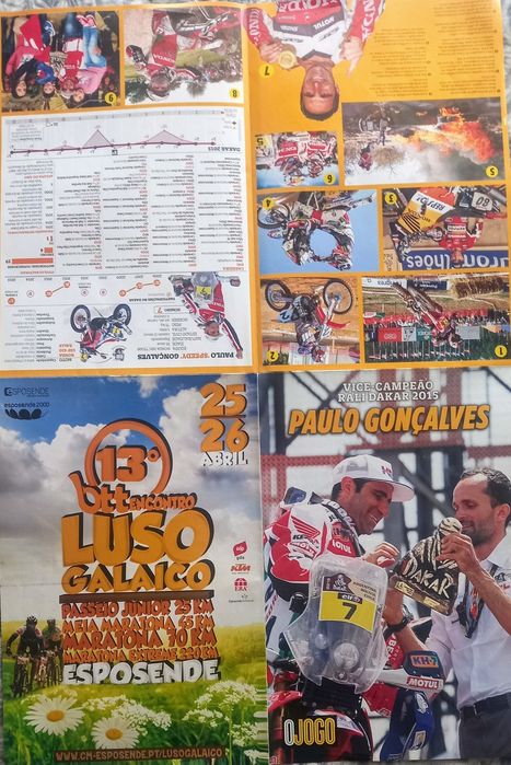 poster Paulo Gonçalves motociclismo vice campeão rali Dakar 2015