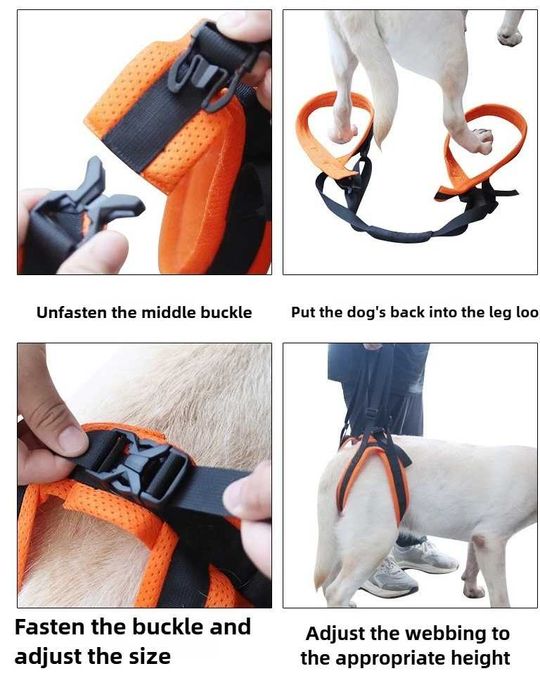 Arnês de elevação p/cão, patas traseiras para ajudar a andar
