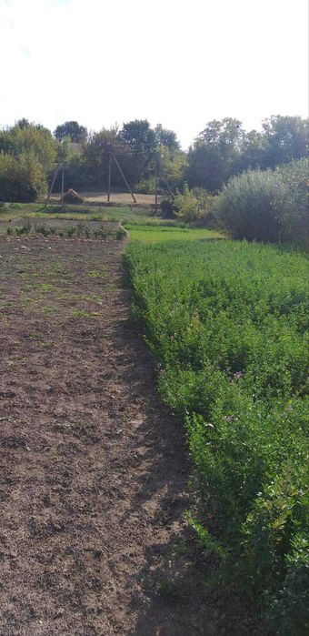 Продаж земельної ділянки в с. Германівка, Обухівський район