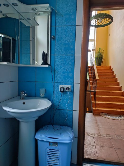 Продам просторий будинок 240 кв.м на ділянці 24 сот. у с. Любимівка