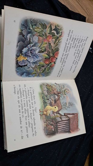 " Pintainho Curioso" (Verbo Infantil nº54)