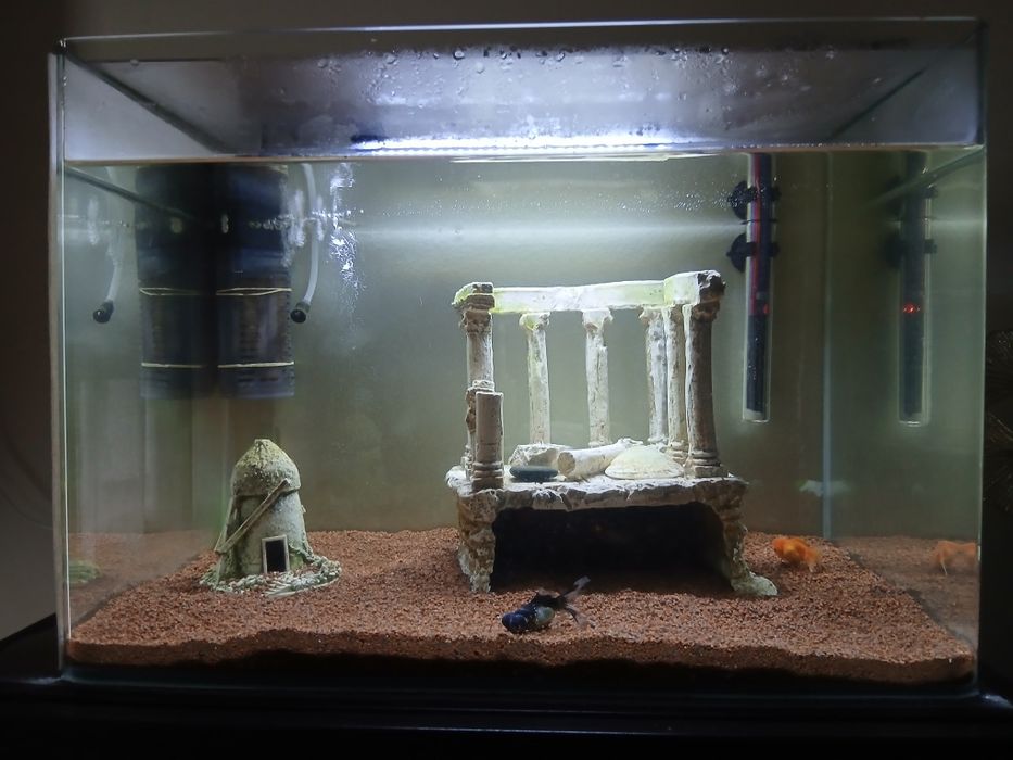 Aquário  com acessórios incluídos