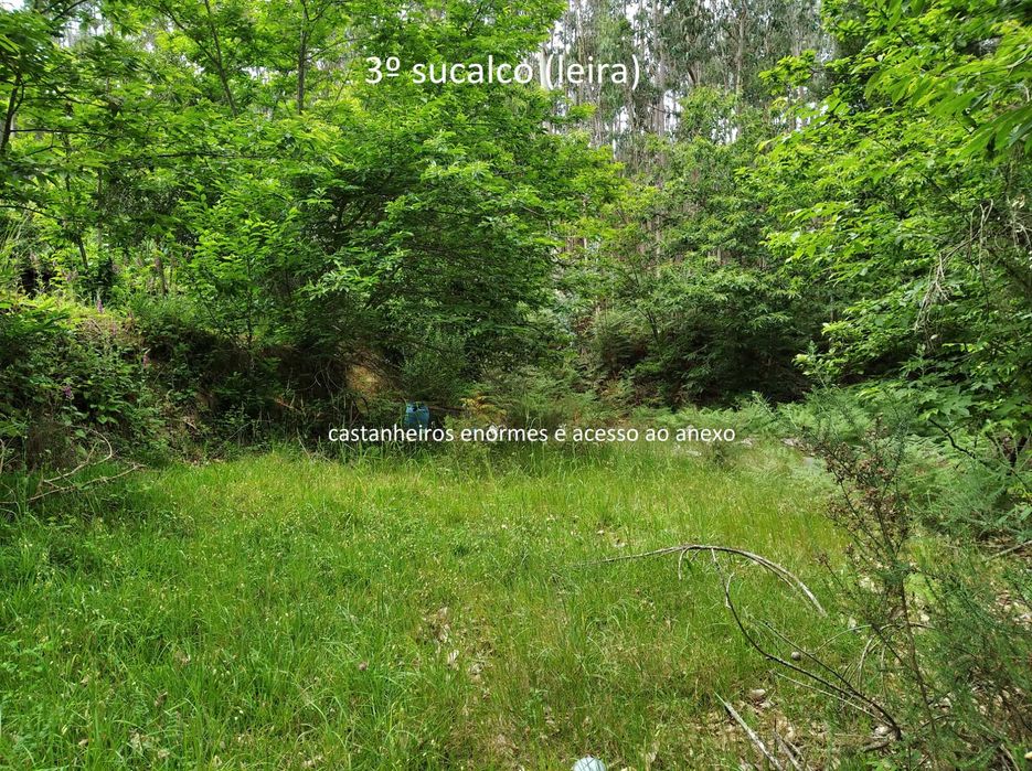 Terreno em Baguim do Monte com 6070M2 (rustico)