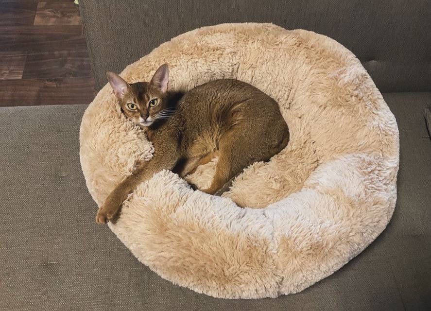 Лежанка для собак та котів «Пончик»