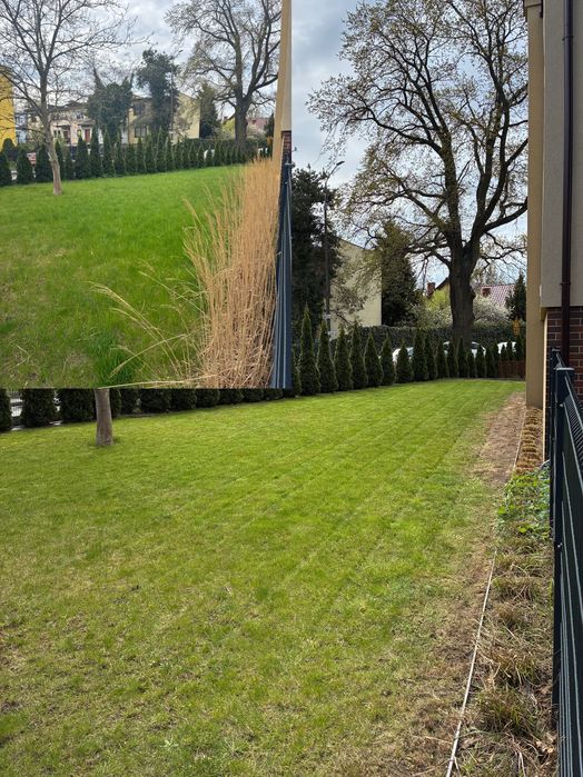 Koszenie trawy – Gdańsk i okolice +100 km. Przeczytaj opis .