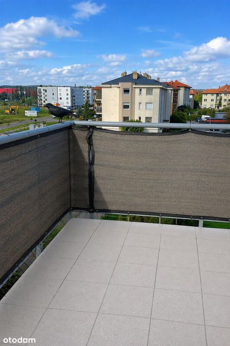 Zdjęcie 7