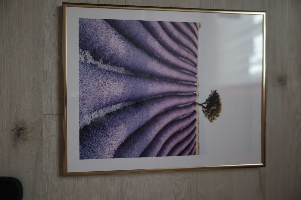 Plakat w złotej ramie lawendowe pole 40 cm x 50 cm