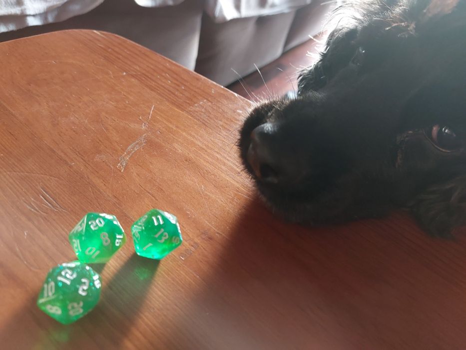 D20 Dice Set - 3 Colors Available429698923721533444