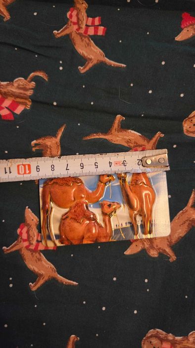 Magnes Tunisia Tunezja wielbłądy