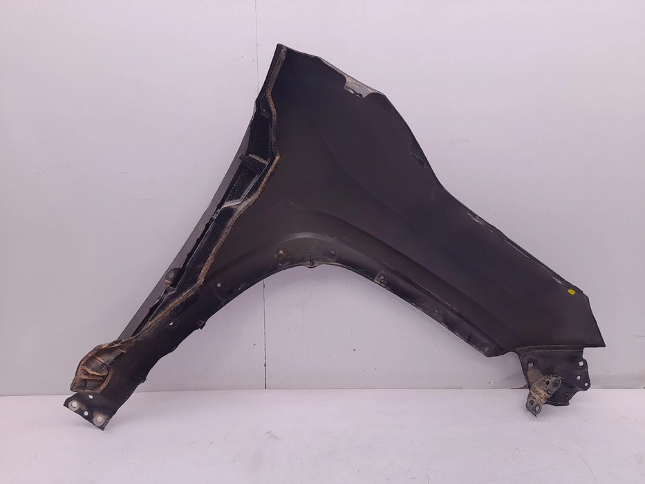 Guarda-lamas esquerdo TOYOTA RAV4 V (_A5_, _H5_)