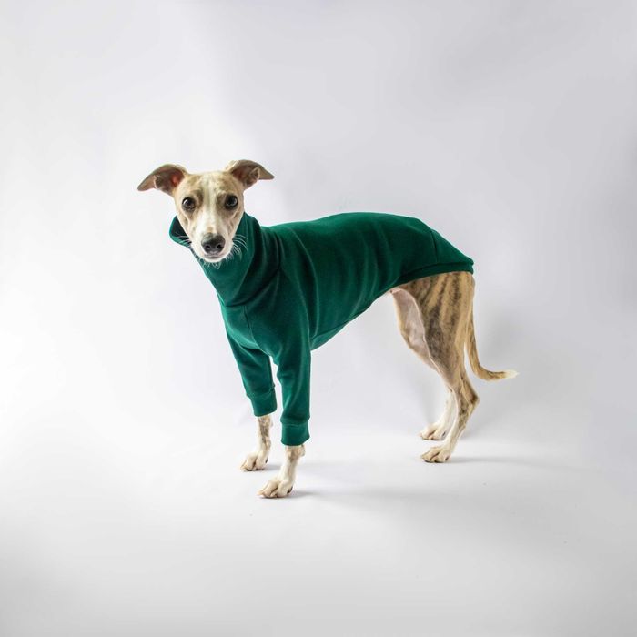 Sweterek golfik na pieska, charta, charcika, whippeta