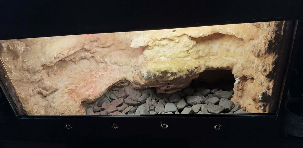 Terrarium z płyty meblowej 125x60x60