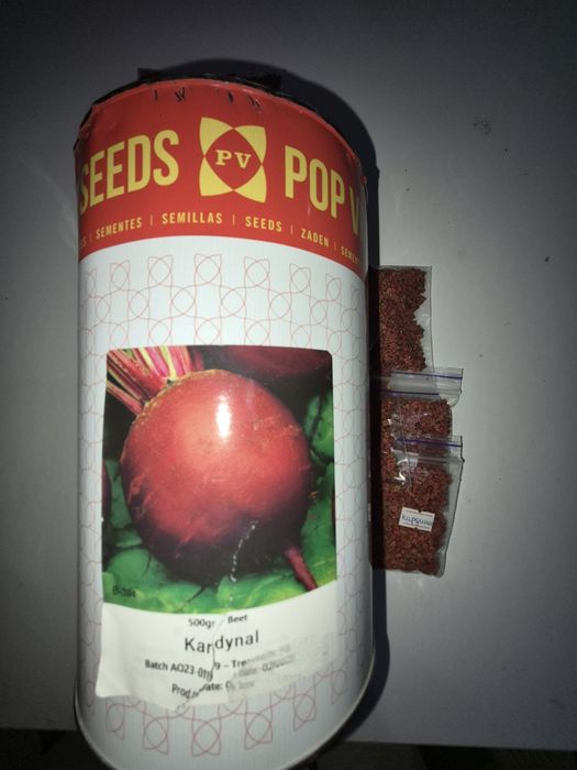 Насіння кормових буряків, червоних буряків, моркви