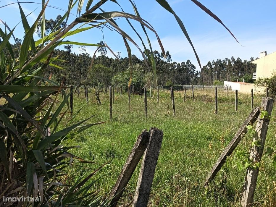 Terreno para construção de moradia - Oliveira do Bairro