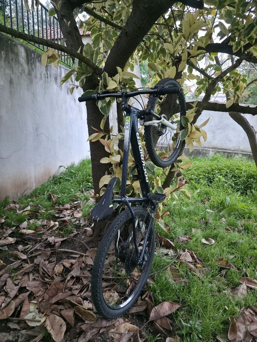 Rockrider xc100 29"