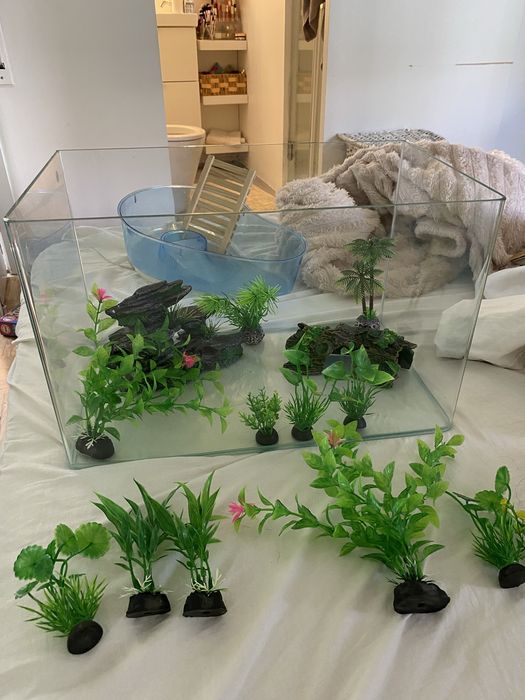 vendo aquario 28 litros com plantas incluidas e esconderijos / decoracao