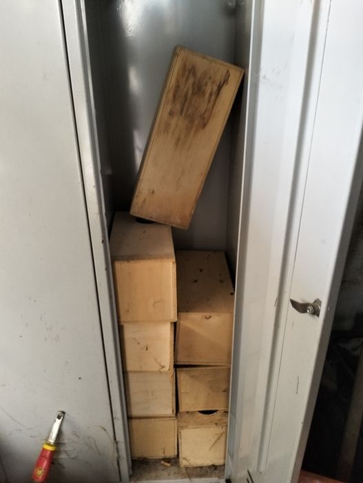 Vários ninhos maior parte completamente novos