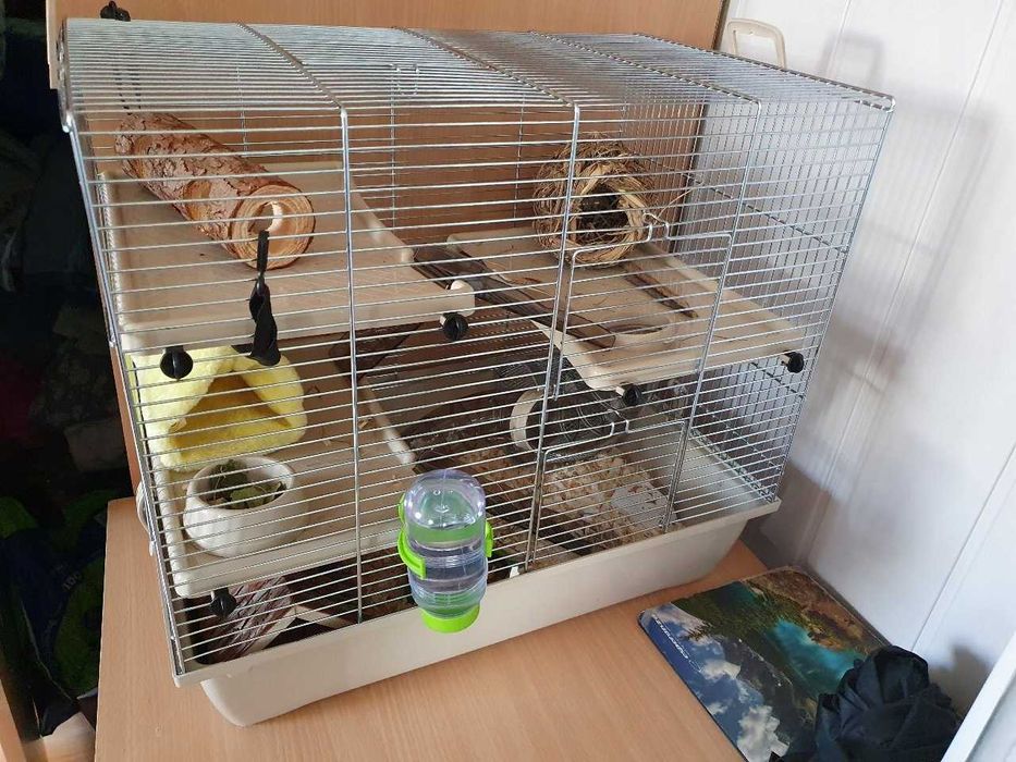 Nowa Klatka Dla Gryzoni Dla Chomika Królika Beżowa 500x330x455