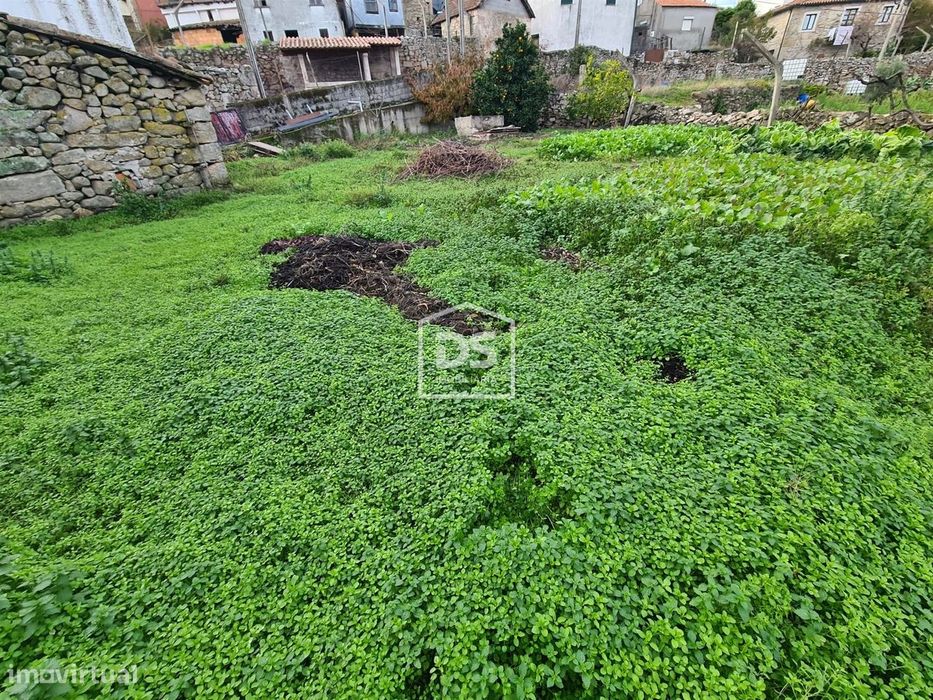 Moradia T5 Venda em Aricera e Goujoim,Armamar