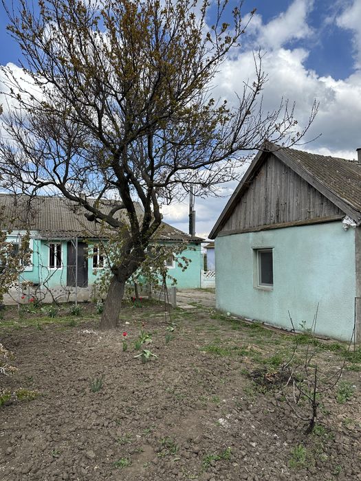 Продам будинок в с. Новоолександрівка МИКОЛАЇВСЬКА область