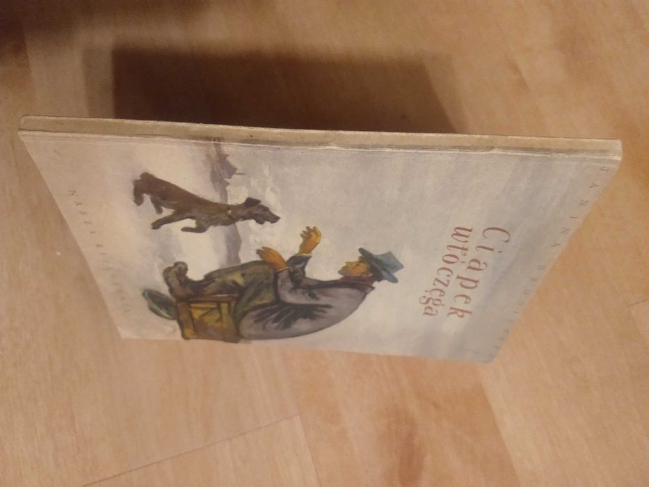 Ciapek włóczęga Janina Broniewska ilustracje Marcin Szancer