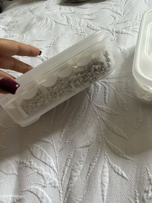 Pojemnik na jajka gekon jaszczurka