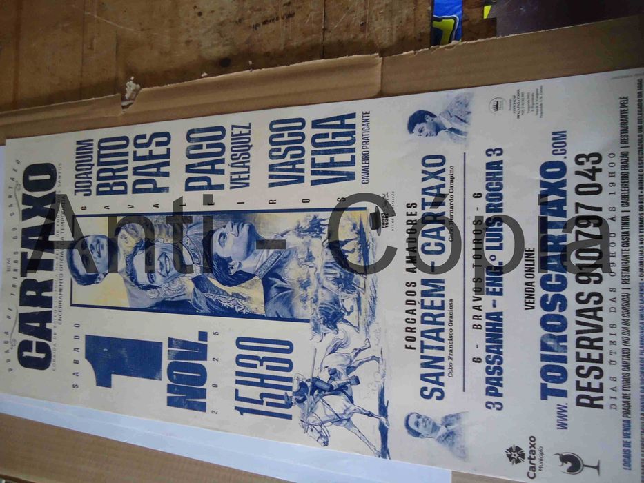 Toiros - Cartazes de Montra 4