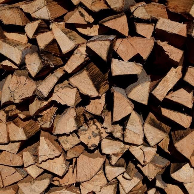 ДРОВА твердих порід, Харківська обл.