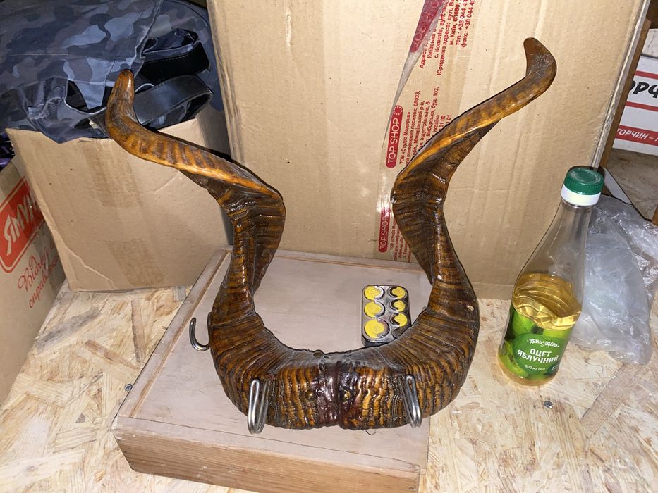 Рога козла вешалка