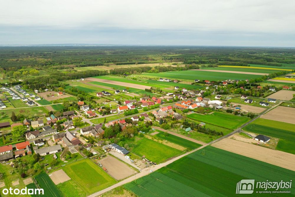 Zdjęcie 8