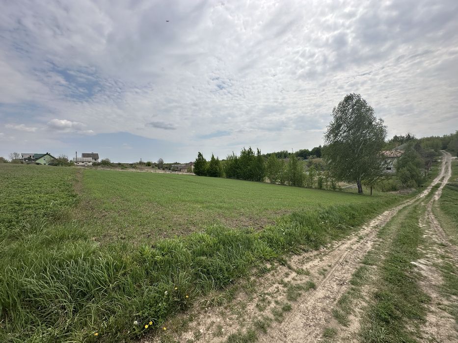 House in Yasynynychi - View 2