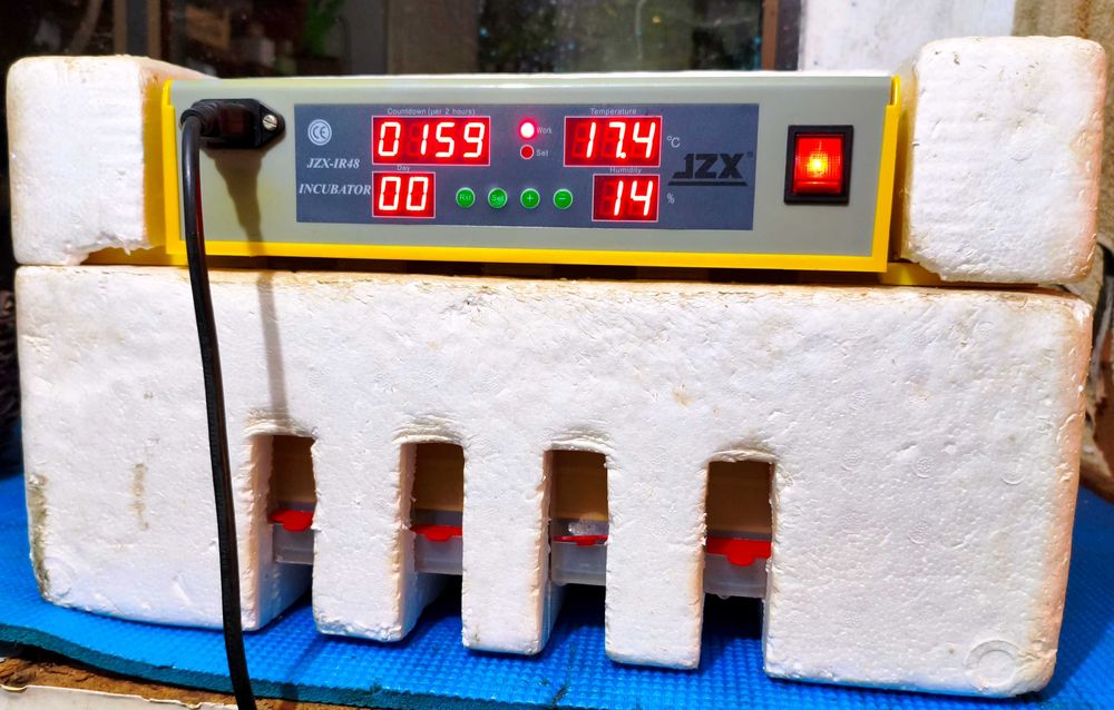 Chocadeira com viragem automática 48 ovos