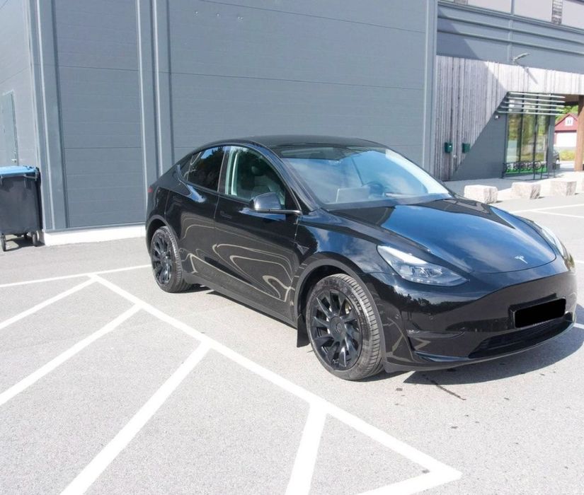 Tesla Model Y Long Range Dual Motor