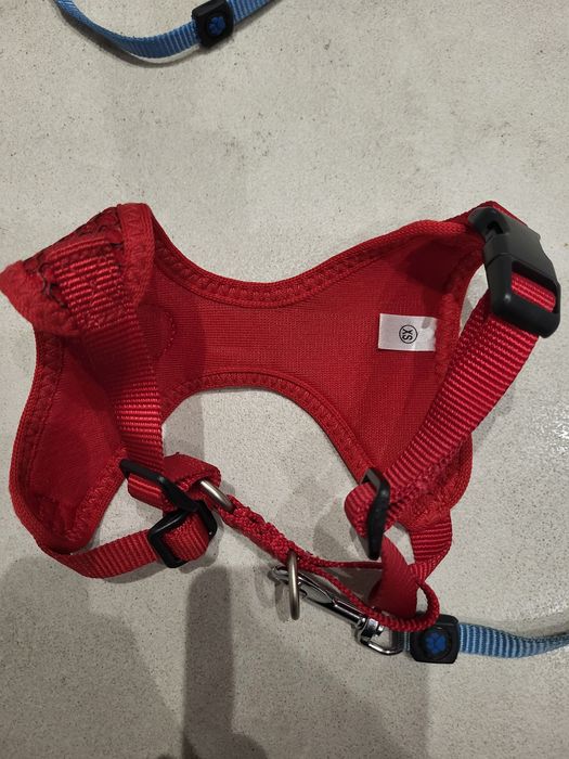 Szelki dla psa i smycz