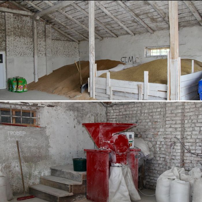 Свиноферма