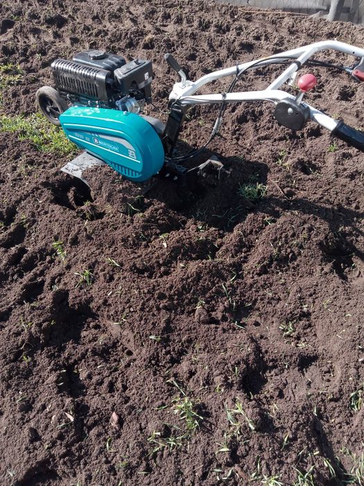 Glebogryzarka spalinowa