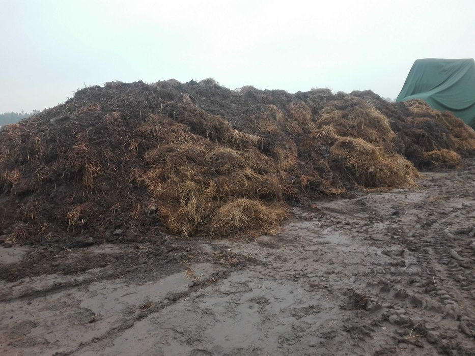 Obornik, nawóz naturalny, pełnowartościowy ZAMIANA