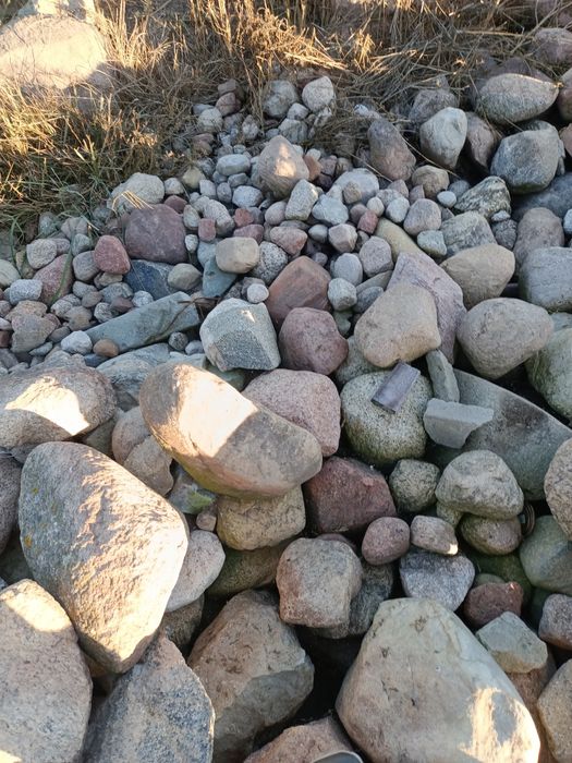 Kamień polny oddam za darmo